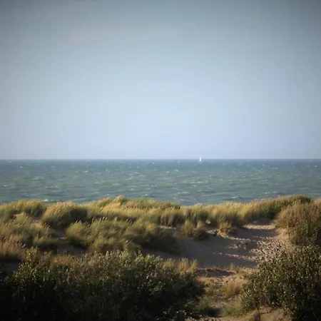 Lejlighed Trianon 401 4a With Sea View De Haan